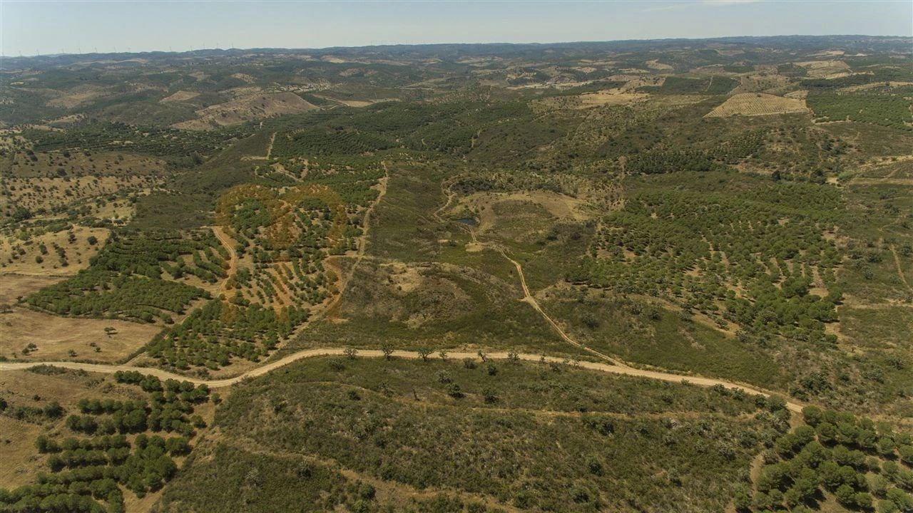 Moradia para Venda em Martim Longo Foto 26