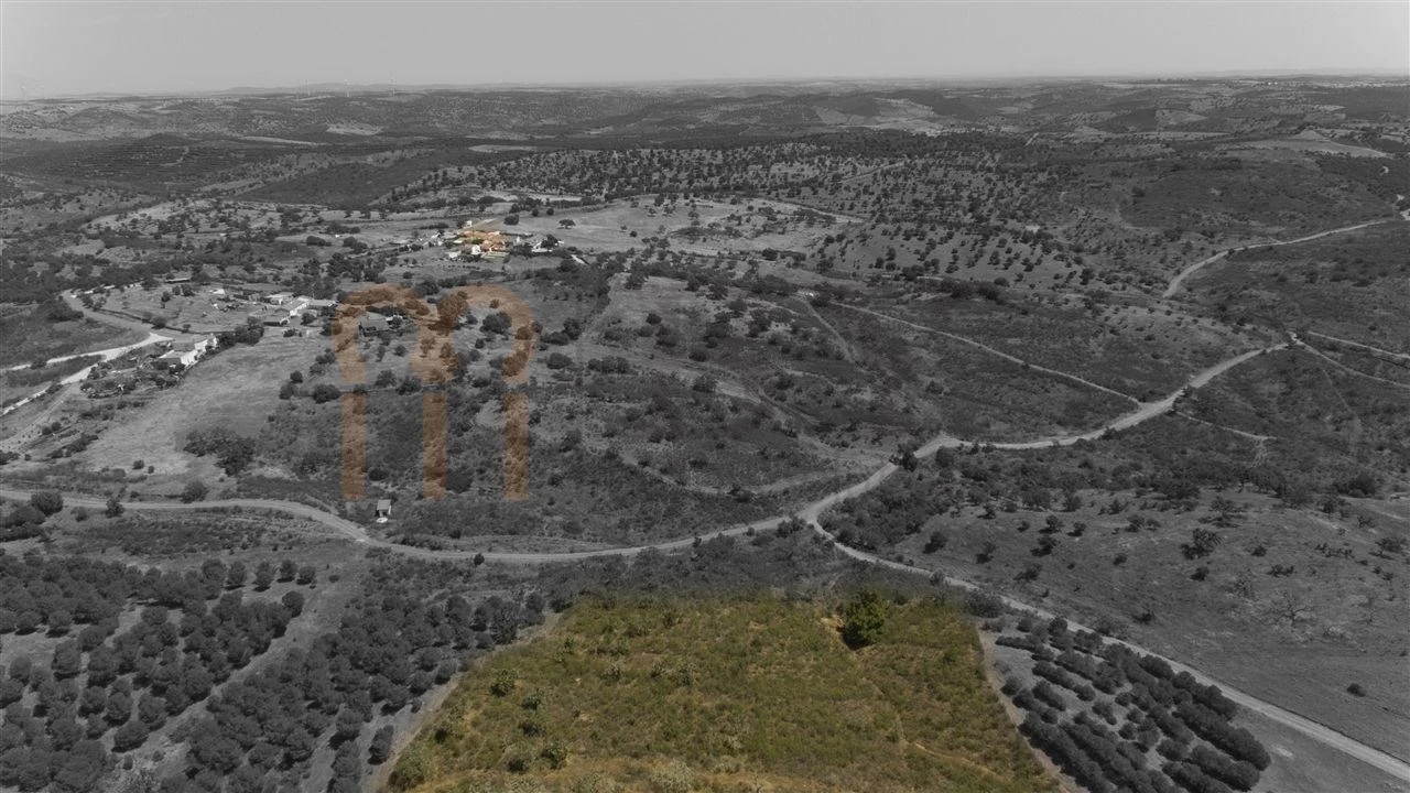 Moradia para Venda em Martim Longo Foto 28