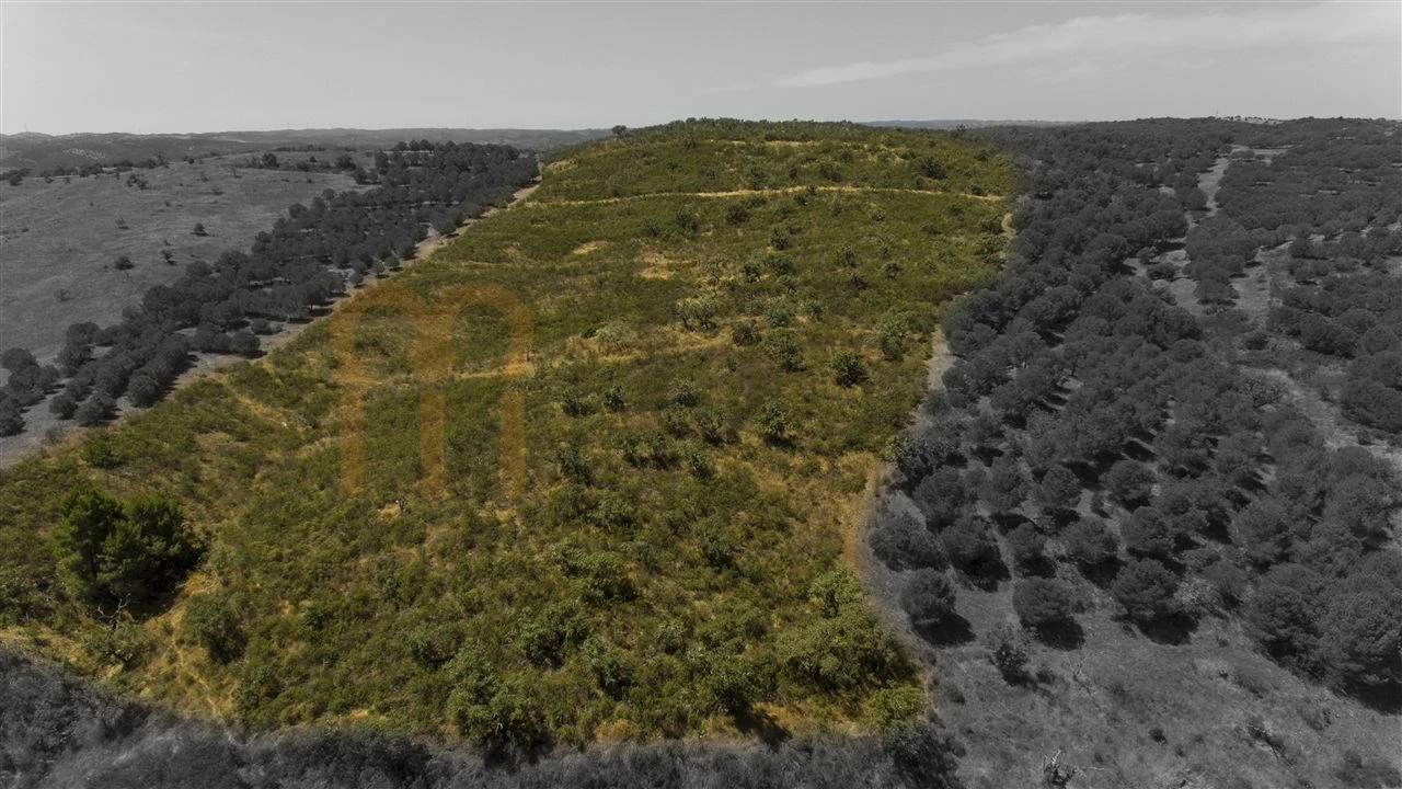Moradia para Venda em Martim Longo Foto 29