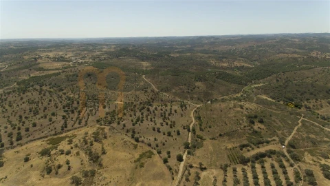 Moradia para Venda em Martim Longo