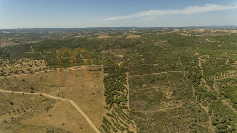 Moradia para Venda em Martim Longo