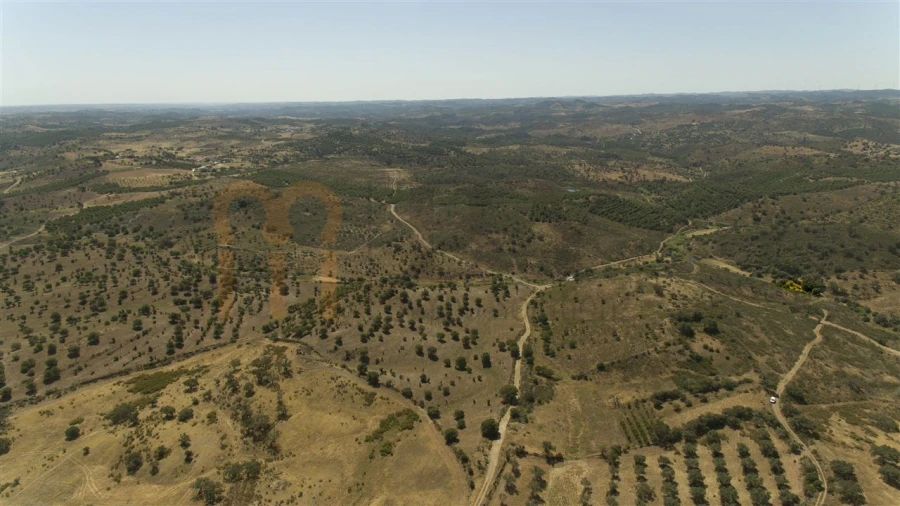 Moradia para Venda em Martim Longo Foto 18