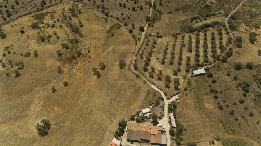 Moradia para Venda em Martim Longo Foto 19