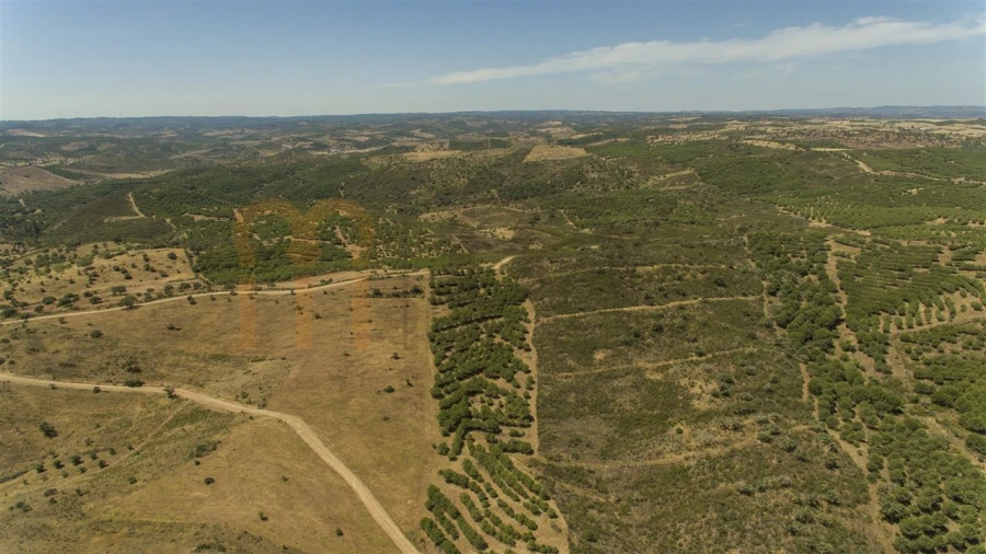 Moradia para Venda em Martim Longo Foto 23