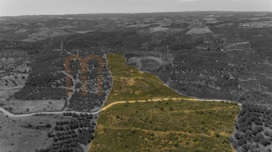 Moradia para Venda em Martim Longo Foto 27