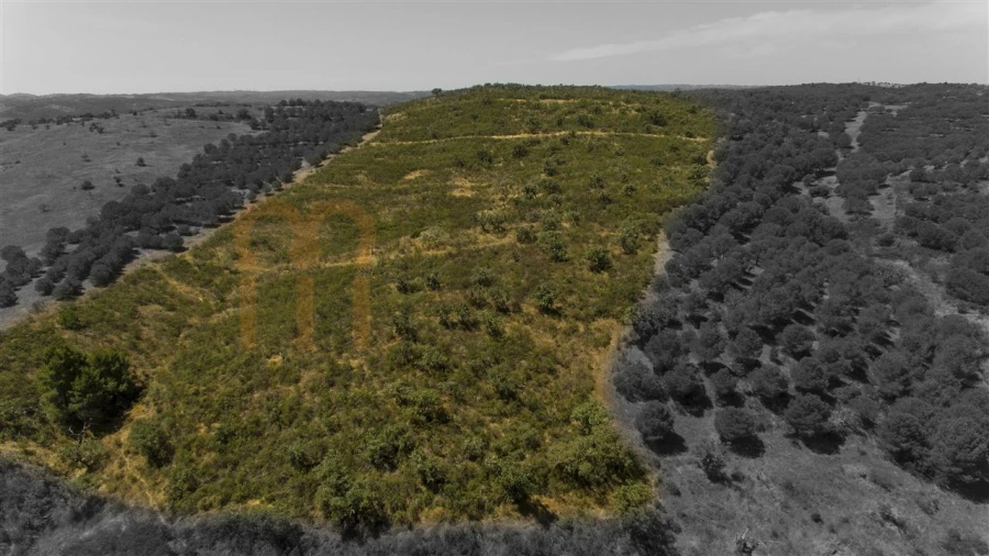 Moradia para Venda em Martim Longo Foto 29