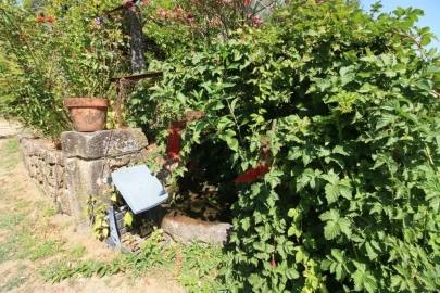 Quinta T6 para Venda em Couto