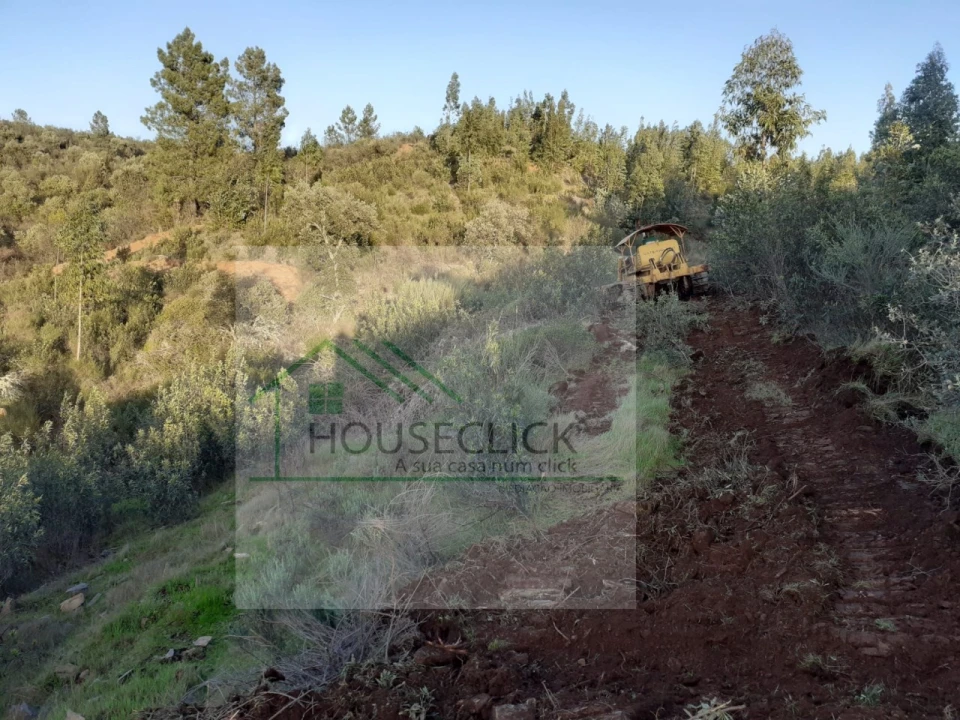 Quinta para Venda em Escalos de Cima e Lousa Foto 10