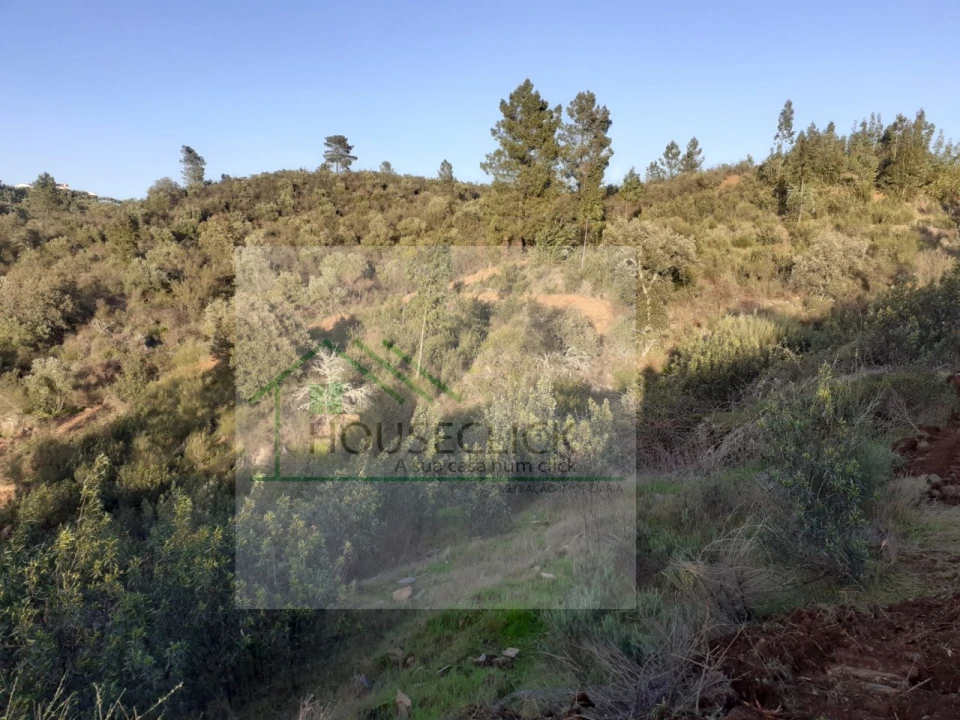 Quinta para Venda em Escalos de Cima e Lousa Foto 13