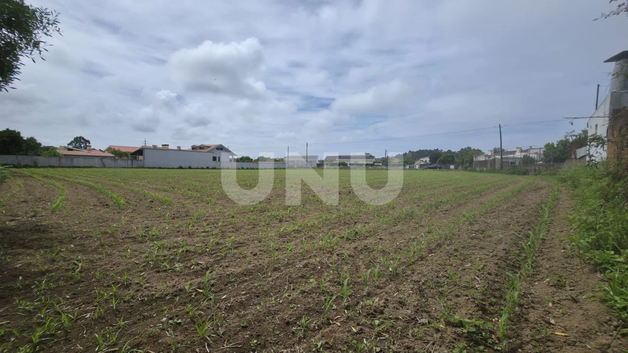 Terreno Agricola ou Rústico para Venda em Maceda Foto 2
