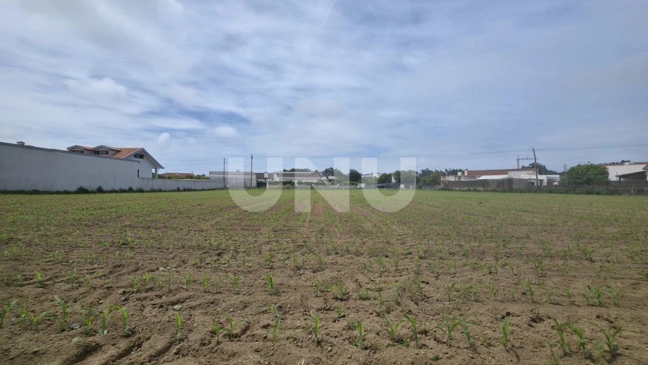 Terreno Agricola ou Rústico para Venda em Maceda Foto 3
