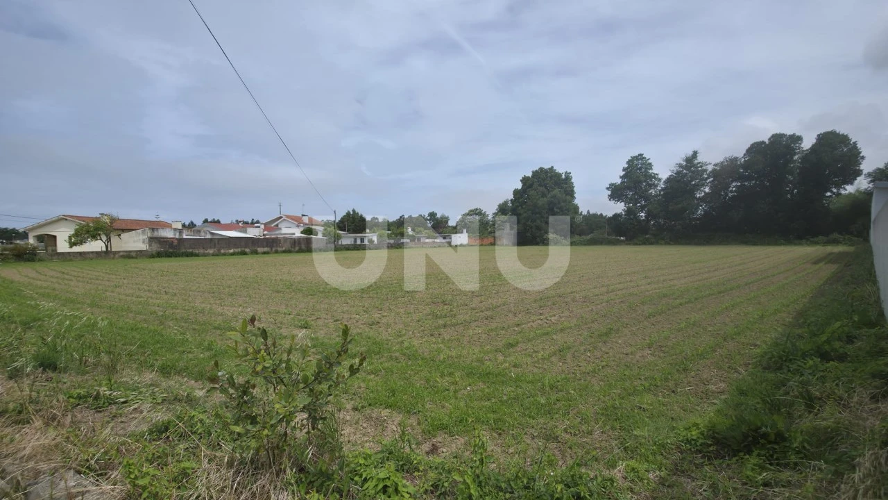 Terreno Agricola ou Rústico para Venda em Maceda Foto 5