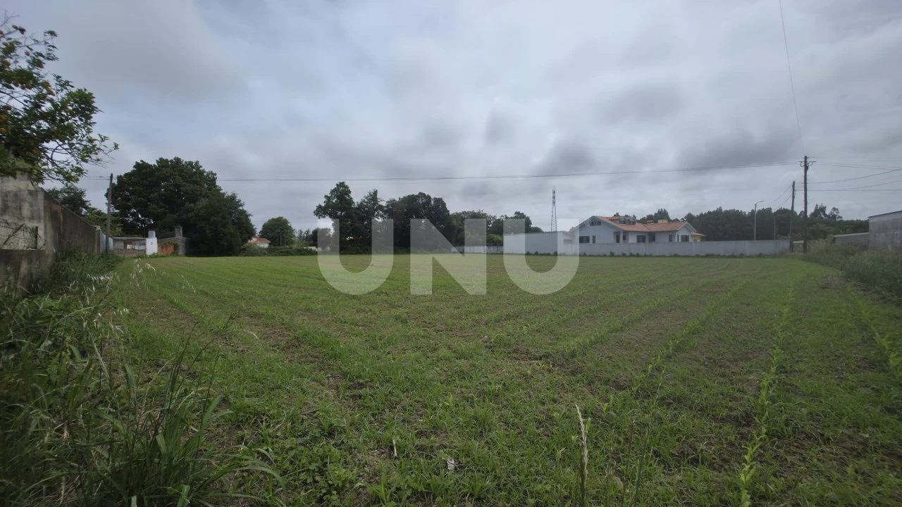 Terreno Agricola ou Rústico para Venda em Maceda Foto 6
