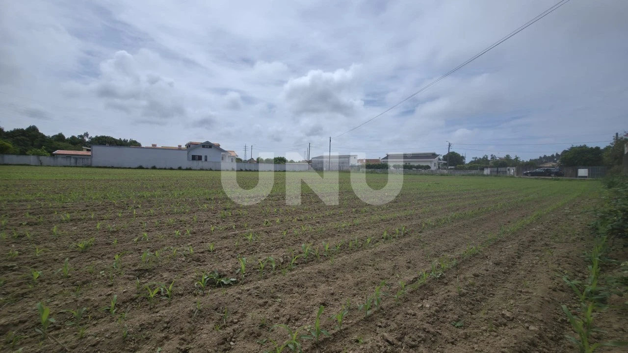 Terreno Agricola ou Rústico para Venda em Maceda Foto 7