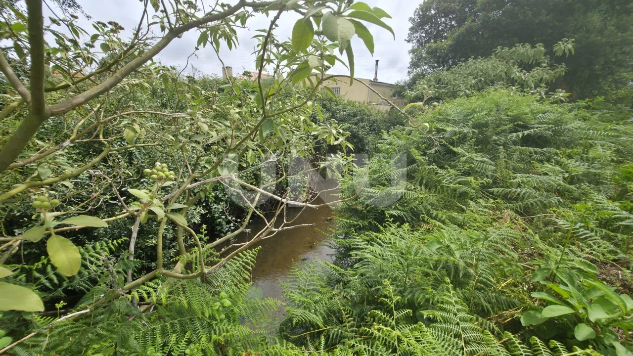 Terreno Agricola ou Rústico para Venda em Maceda Foto 12