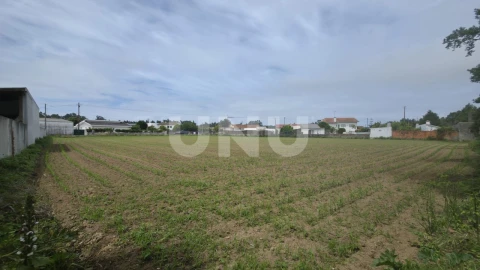 Terreno Agricola ou Rústico para Venda em Maceda