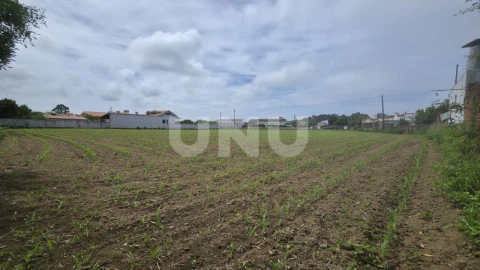 Terreno Agricola ou Rústico para Venda em Maceda