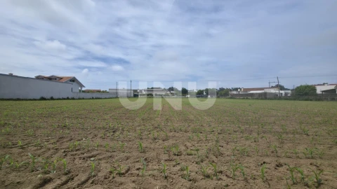 Terreno Agricola ou Rústico para Venda em Maceda