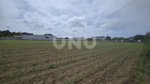Terreno Agricola ou Rústico para Venda em Maceda