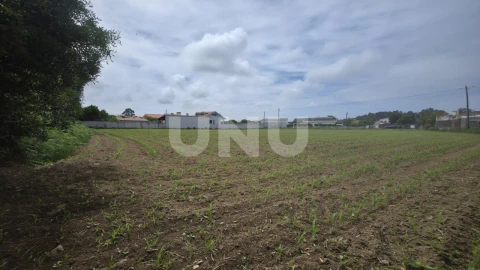Terreno Agricola ou Rústico para Venda em Maceda