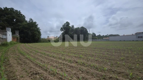 Terreno Agricola ou Rústico para Venda em Maceda