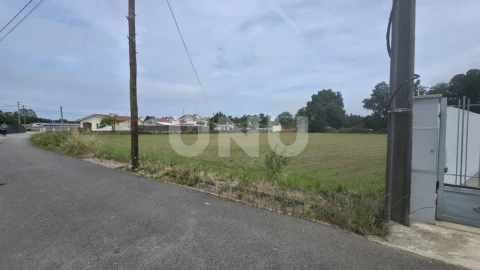 Terreno Agricola ou Rústico para Venda em Maceda