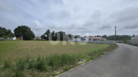 Terreno Agricola ou Rústico para Venda em Maceda