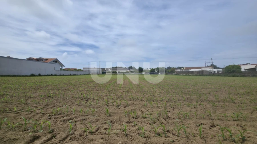 Terreno Agricola ou Rústico para Venda em Maceda Foto 3
