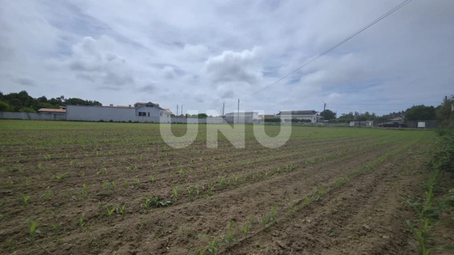 Terreno Agricola ou Rústico para Venda em Maceda Foto 7