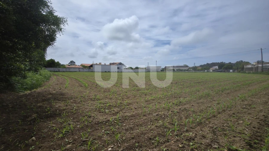 Terreno Agricola ou Rústico para Venda em Maceda Foto 8