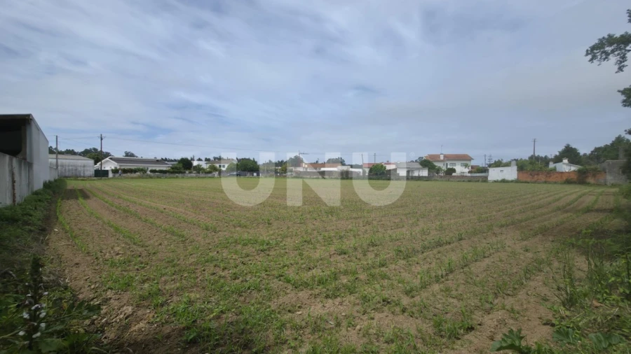 Terreno Agricola ou Rústico para Venda em Maceda