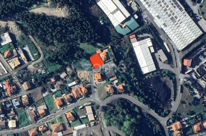 Terreno para Venda em Penafiel