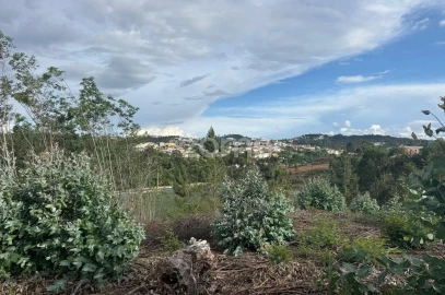 Terreno para Venda em São Martinho do Bispo e Ribeira de Frades
