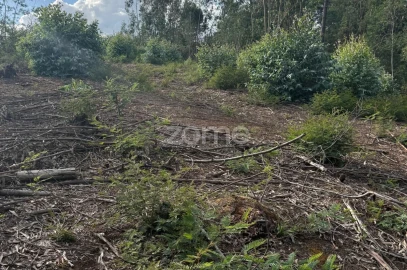 Terreno para Venda em São Martinho do Bispo e Ribeira de Frades