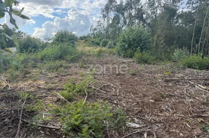 Terreno para Venda em São Martinho do Bispo e Ribeira de Frades