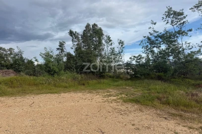 Terreno para Venda em São Martinho do Bispo e Ribeira de Frades