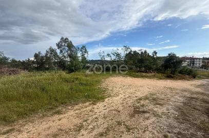 Terreno para Venda em São Martinho do Bispo e Ribeira de Frades