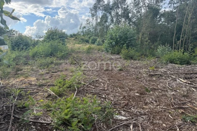 Terreno para Venda em São Martinho do Bispo e Ribeira de Frades
