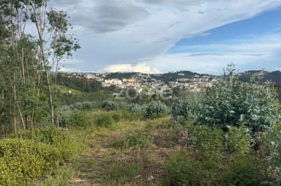 Terreno para Venda em São Martinho do Bispo e Ribeira de Frades