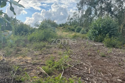 Terreno para Venda em São Martinho do Bispo e Ribeira de Frades