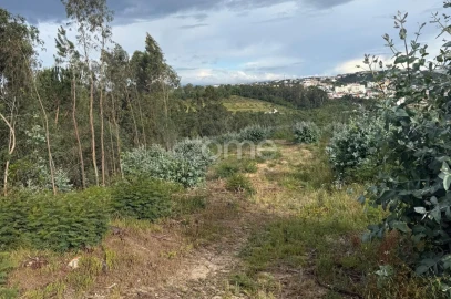 Terreno para Venda em São Martinho do Bispo e Ribeira de Frades