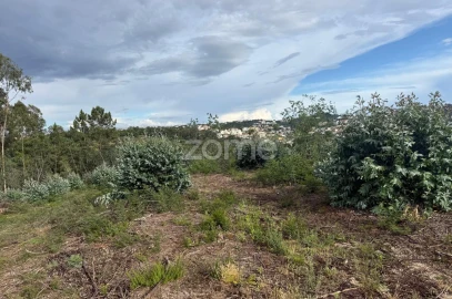Terreno para Venda em São Martinho do Bispo e Ribeira de Frades