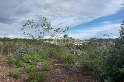 Terreno para Venda em São Martinho do Bispo e Ribeira de Frades