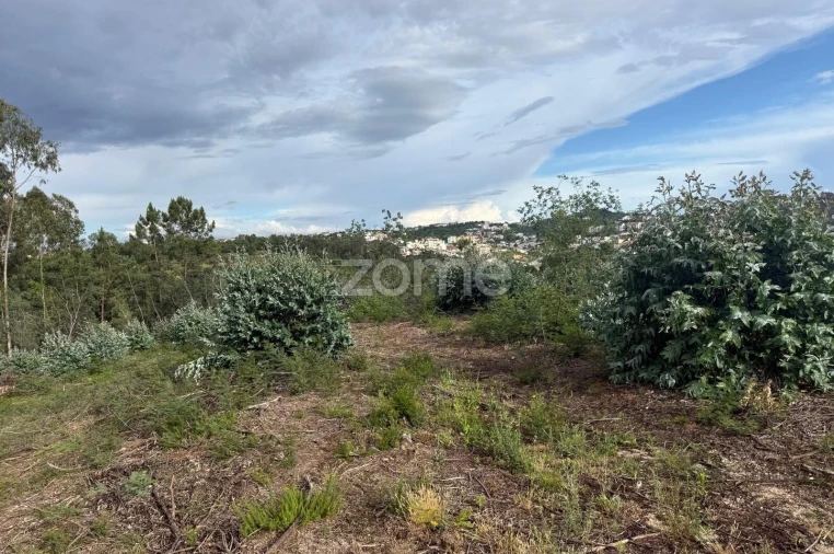 Terreno para Venda em São Martinho do Bispo e Ribeira de Frades Foto 6