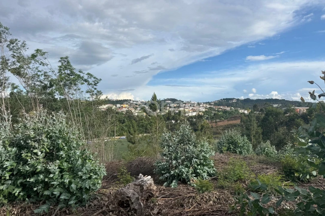 Terreno para Venda em São Martinho do Bispo e Ribeira de Frades Foto 10