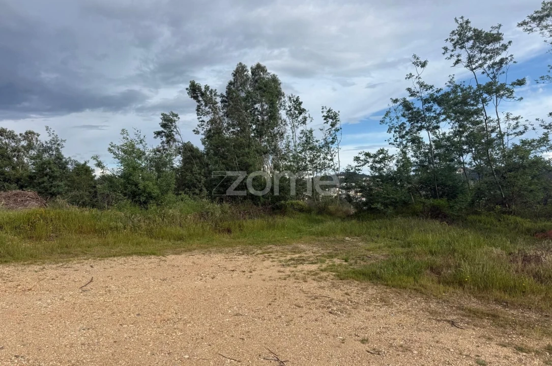 Terreno para Venda em São Martinho do Bispo e Ribeira de Frades Foto 14