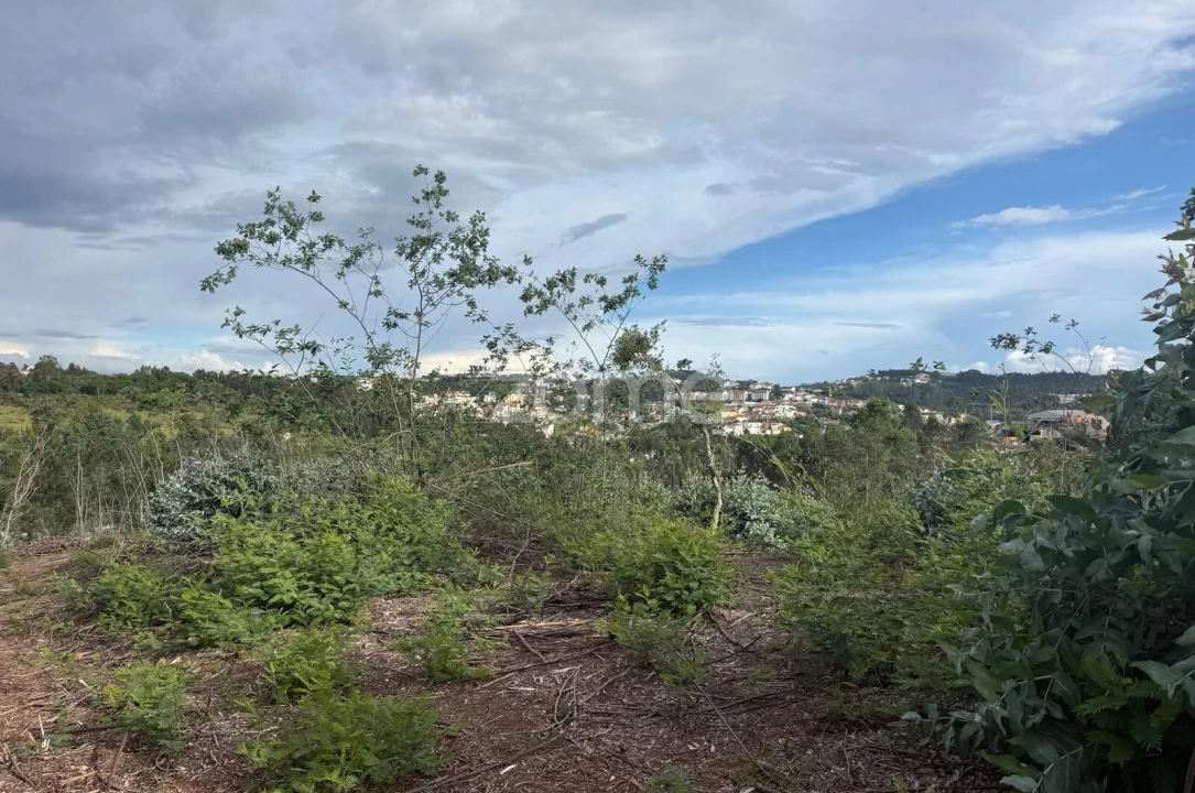 Terreno para Venda em São Martinho do Bispo e Ribeira de Frades Foto 8