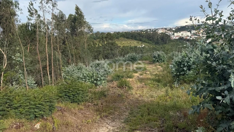 Terreno para Venda em São Martinho do Bispo e Ribeira de Frades