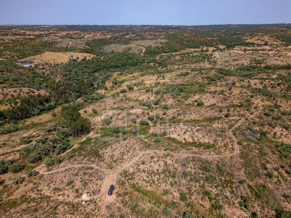 Terreno para Venda em Abela Foto 11