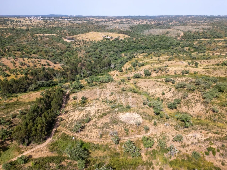 Terreno para Venda em Abela Foto 15